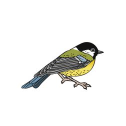 koolmees vogel tuin kleurig tekening illustratie